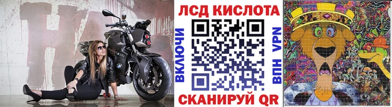Наркотические марки 1,5мг где купить наркоту кракен ONION Карачев