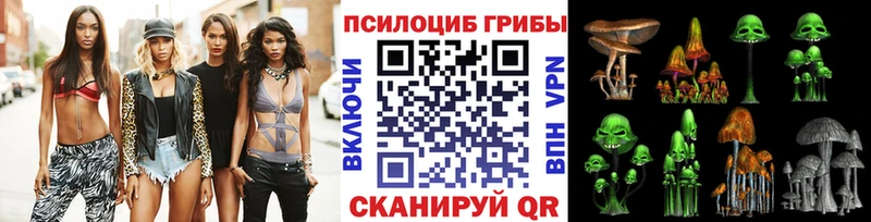 наркотики  Карачев  Галлюциногенные грибы Cubensis 